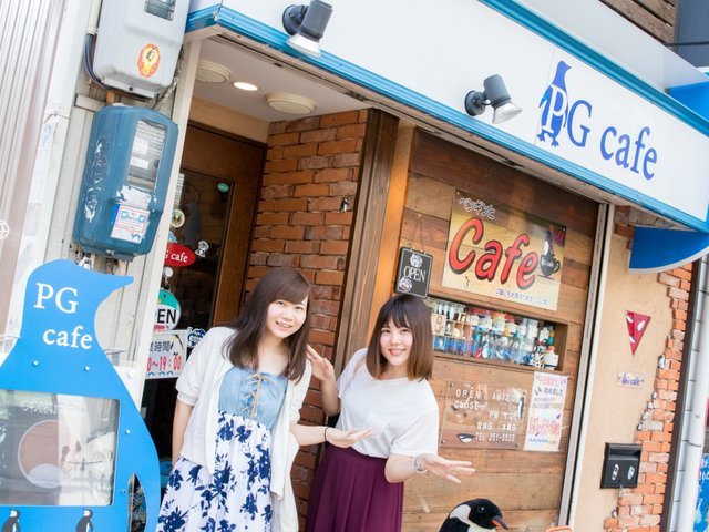 の画像