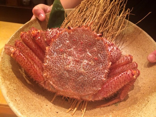 の画像