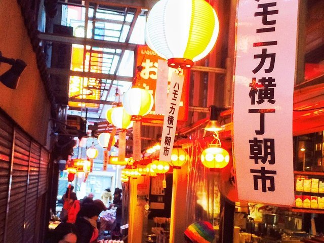 の画像