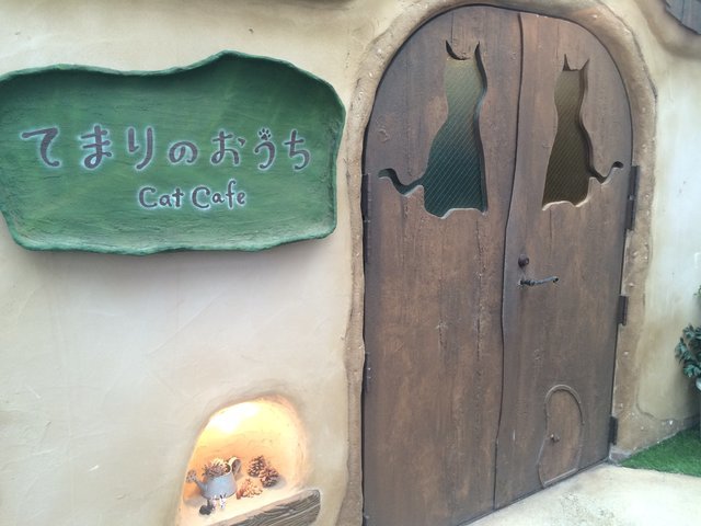 の画像