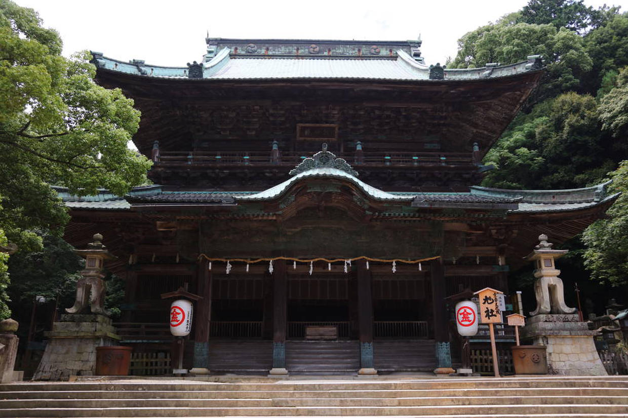 の画像
