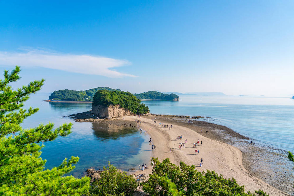 の画像