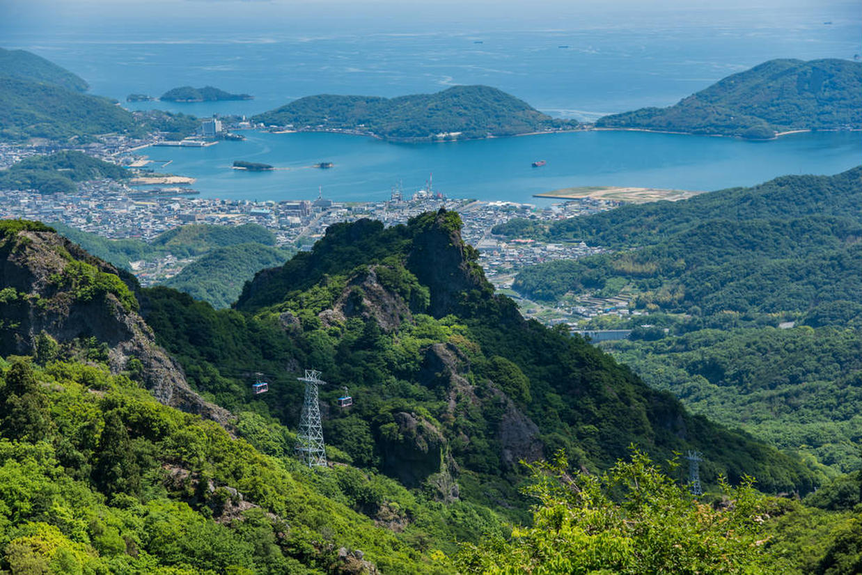 の画像