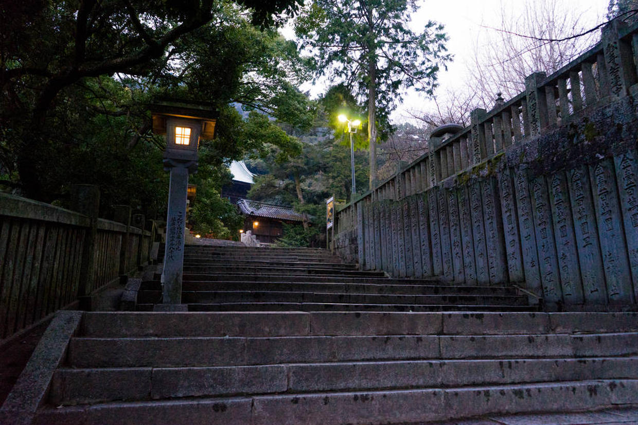 の画像