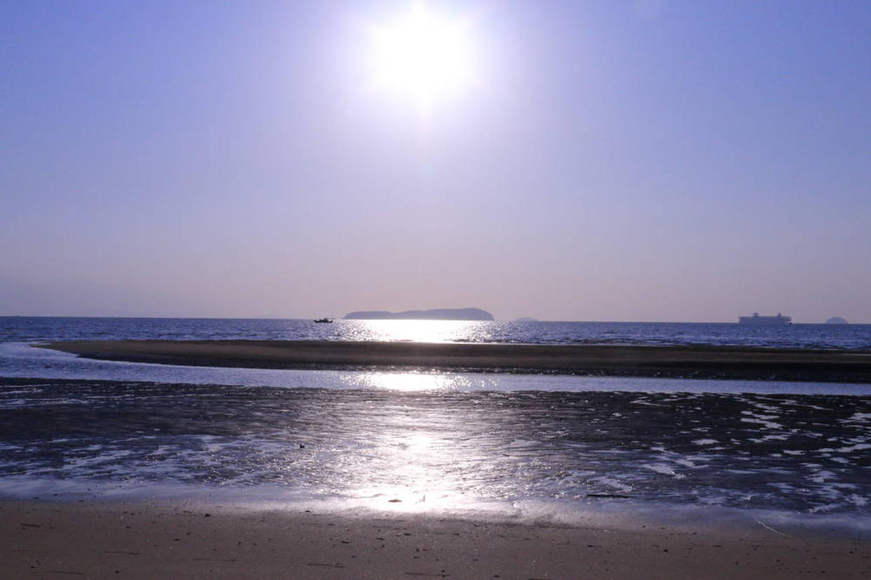 の画像