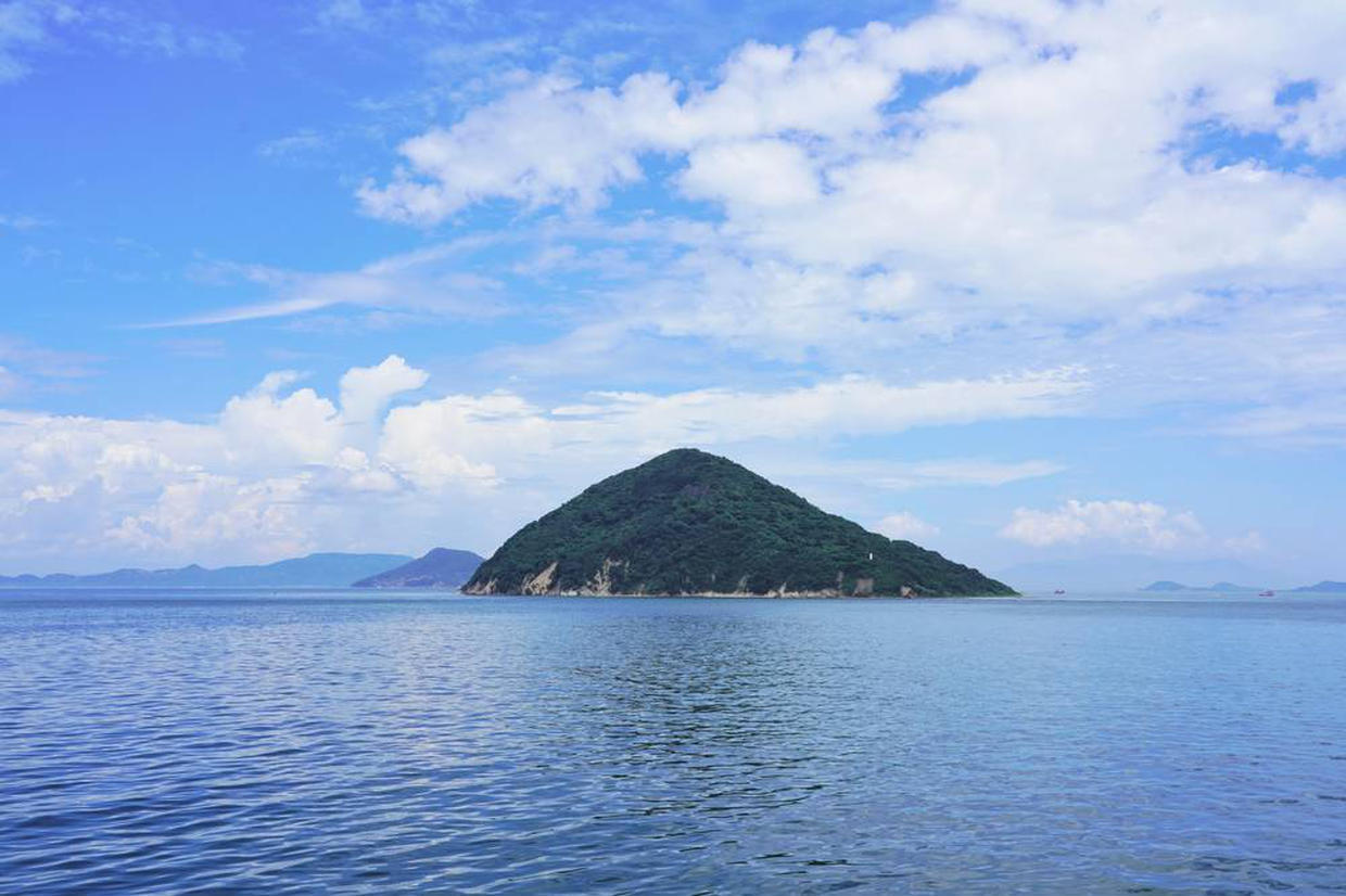 の画像