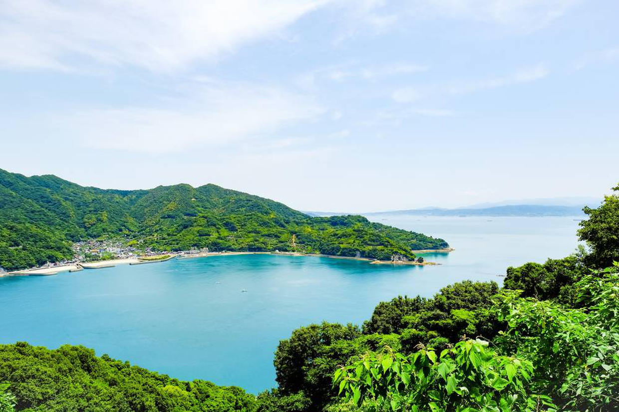 の画像