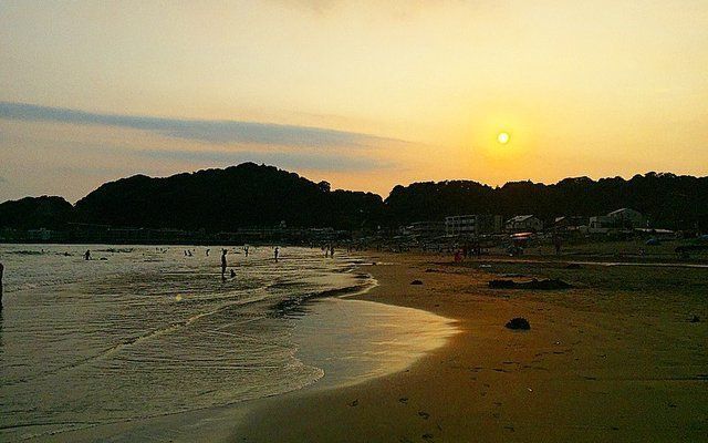 の画像