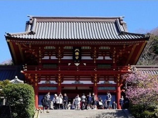 の画像