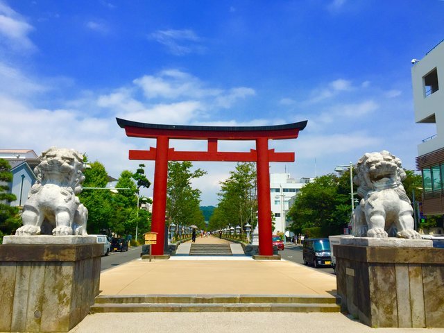の画像