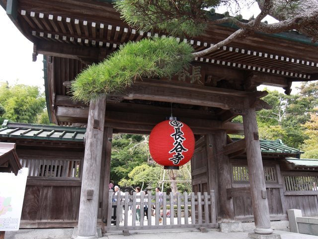 の画像