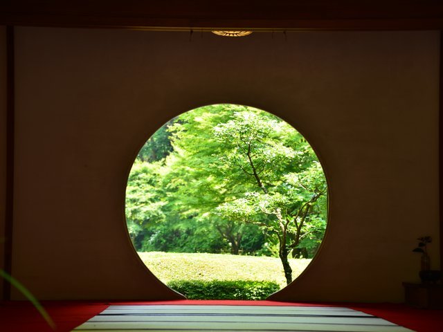 の画像