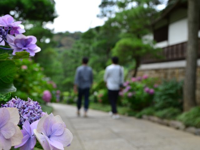 の画像
