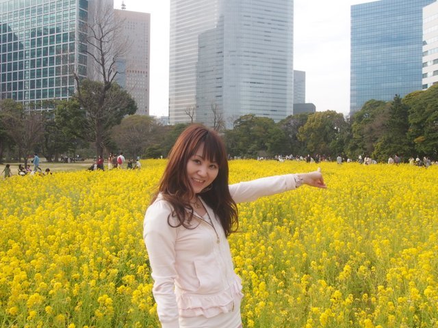 の画像