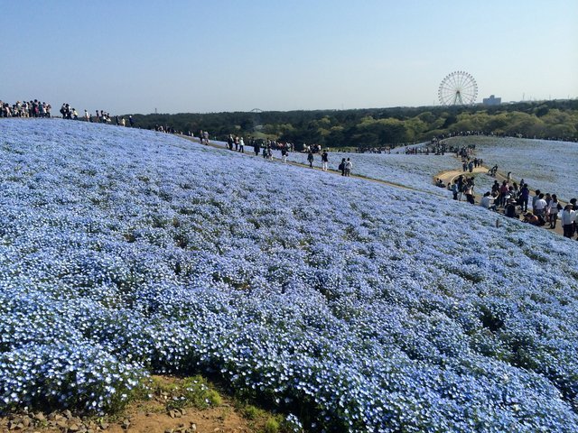 の画像