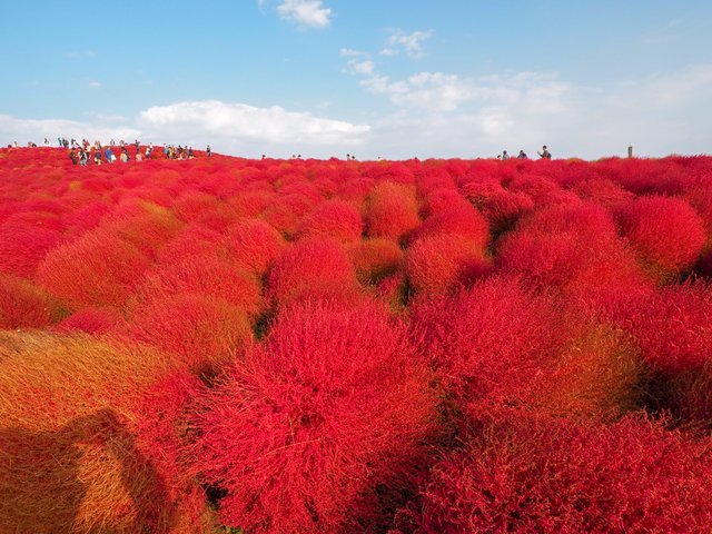 の画像