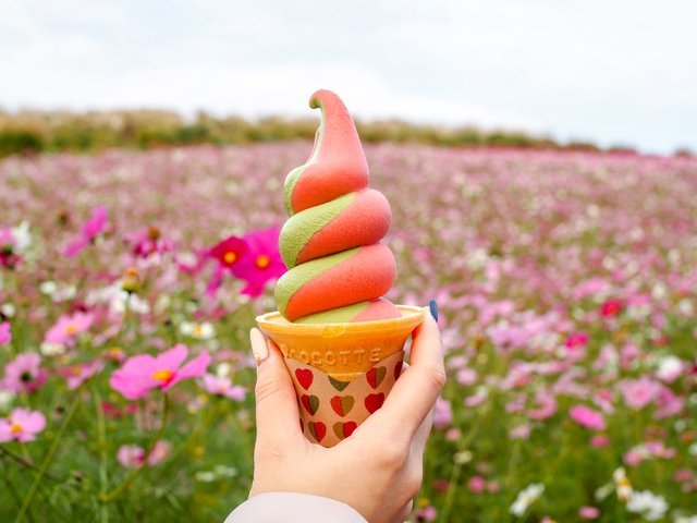 の画像