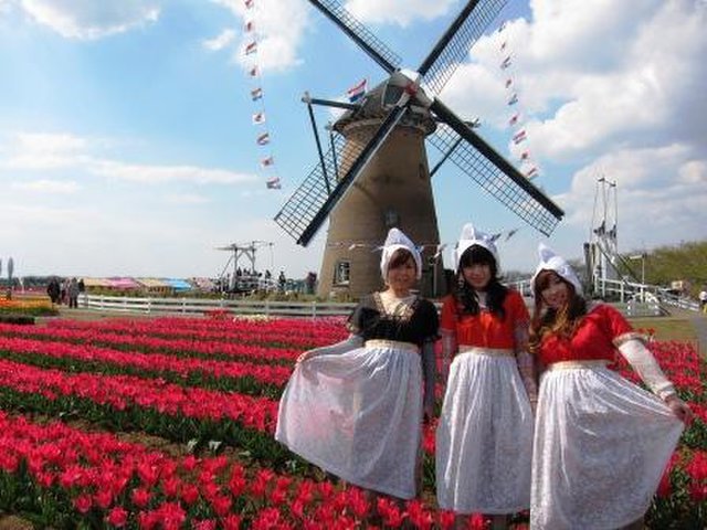 の画像