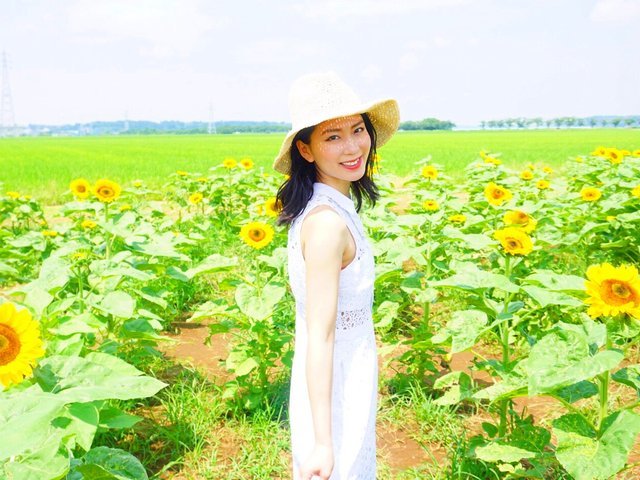 の画像