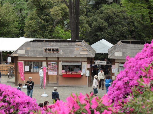 の画像
