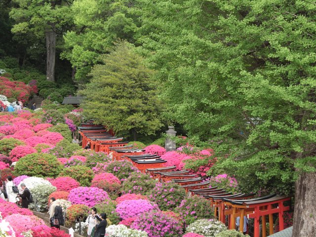 の画像