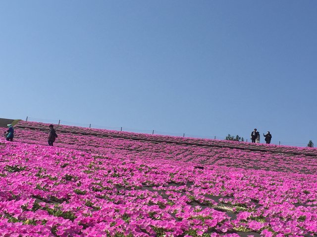 の画像