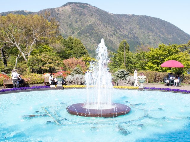 の画像