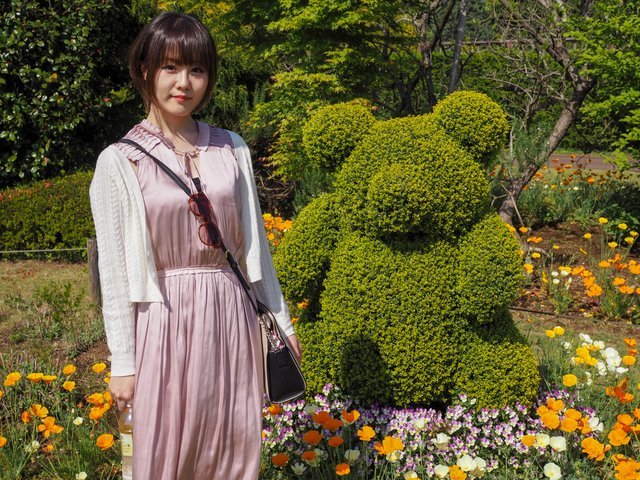 の画像