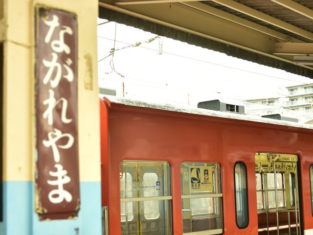 の画像
