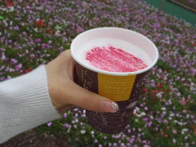 の画像