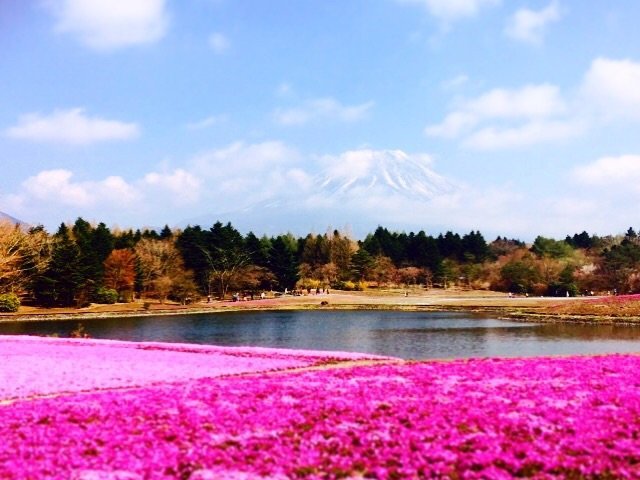 の画像