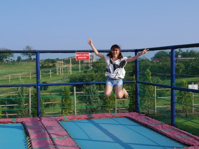 の画像