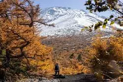 【星のや富士】富士山の秋景色を一望できる「富士紅葉トレッキング」を紹介