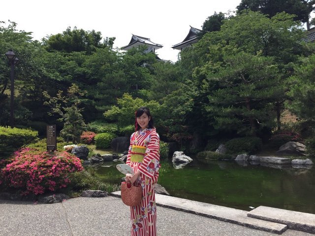 の画像
