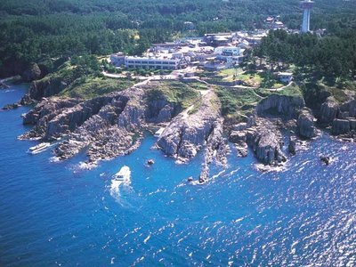 の画像