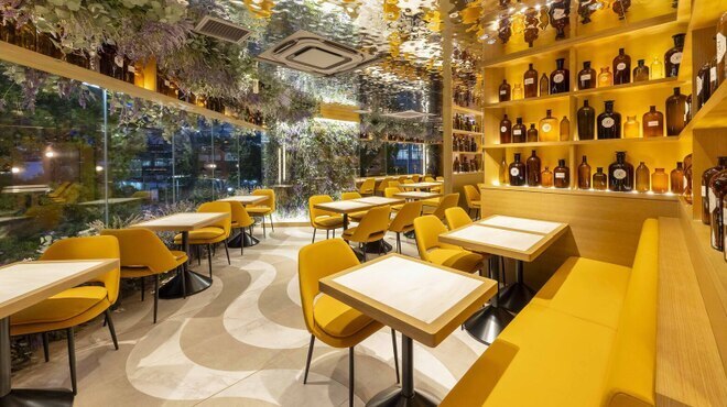 【2025年最新】渋谷のおしゃれカフェ16選！スイーツ＆ランチが楽しめる人気店の画像
