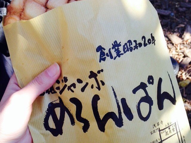 の画像