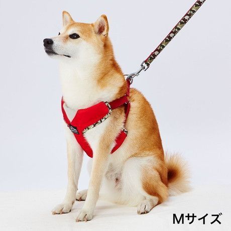 犬用ハーネスは「Ethical Door」がおすすめ！ベスト型でペットにやさしいハーネスの画像