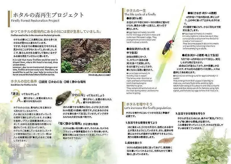 [Yamanashi, Yatsugatake] Grand Mercure Yatsugatake Resort & Spa! Firefly release experience and new activity "Billicker" available only on weekends in June.の画像