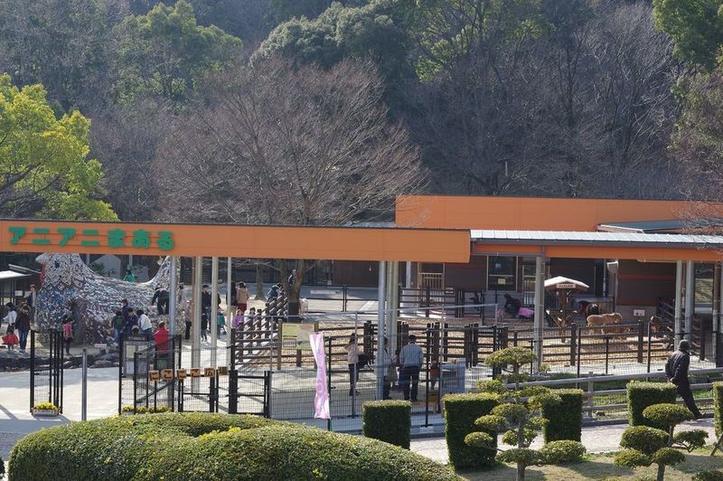 動物園なら愛知 無料で入れる動物ふれあいスポットも紹介 Aumo アウモ