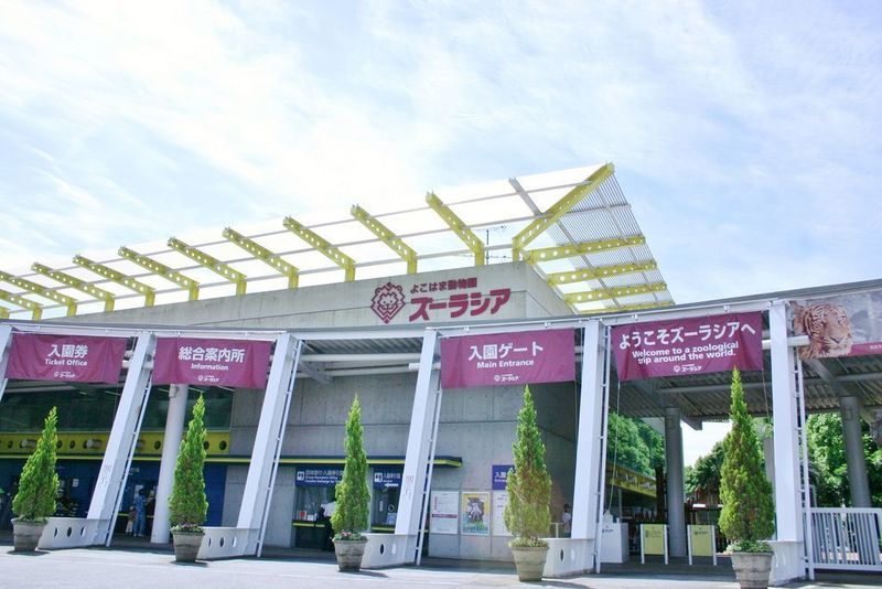 動物園に行くなら横浜のズーラシア 見どころも余すことなく教えます Aumo アウモ