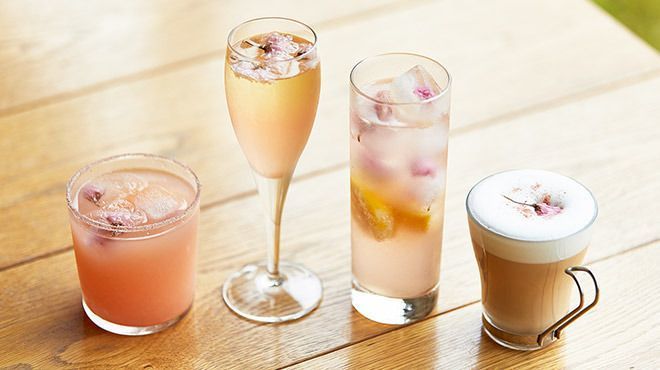 自由が丘 今夜はバーで1杯 誰かに教えたくなる素敵なバー6選 Aumo アウモ