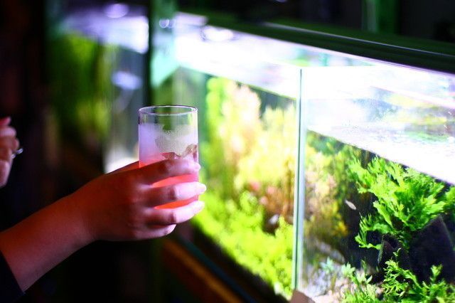 大阪のおすすめお出かけスポット10選 雨の日も安心の室内が満載 Aumo アウモ