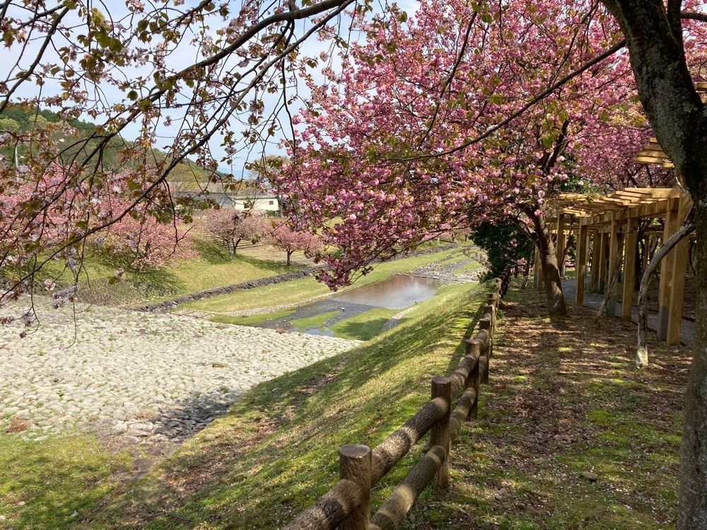 ply さんが投稿した羽根谷だんだん公園に関する口コミの画像