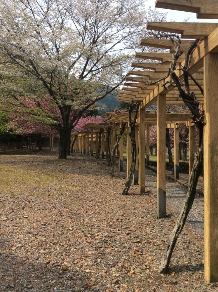 ply さんが投稿した羽根谷だんだん公園に関する口コミの画像