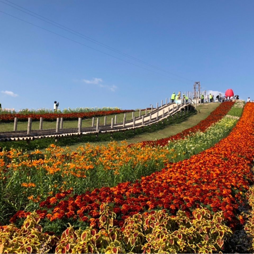 M78Seiunさんが投稿した山口県立きらら浜自然観察公園に関する口コミの画像