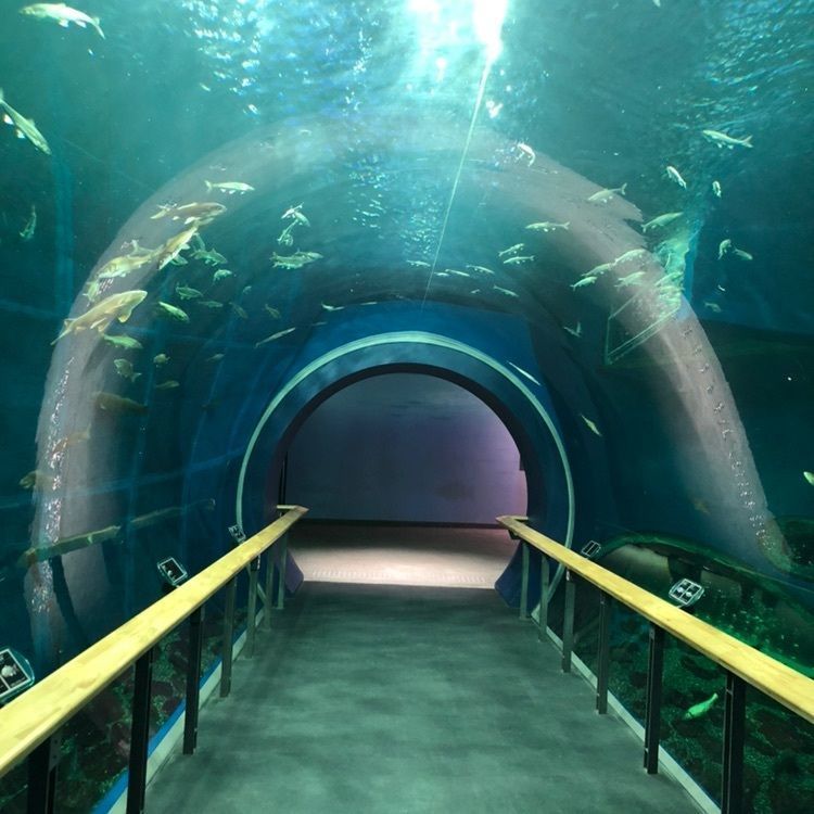 Hideさんが投稿した琵琶湖博物館に関する口コミの画像