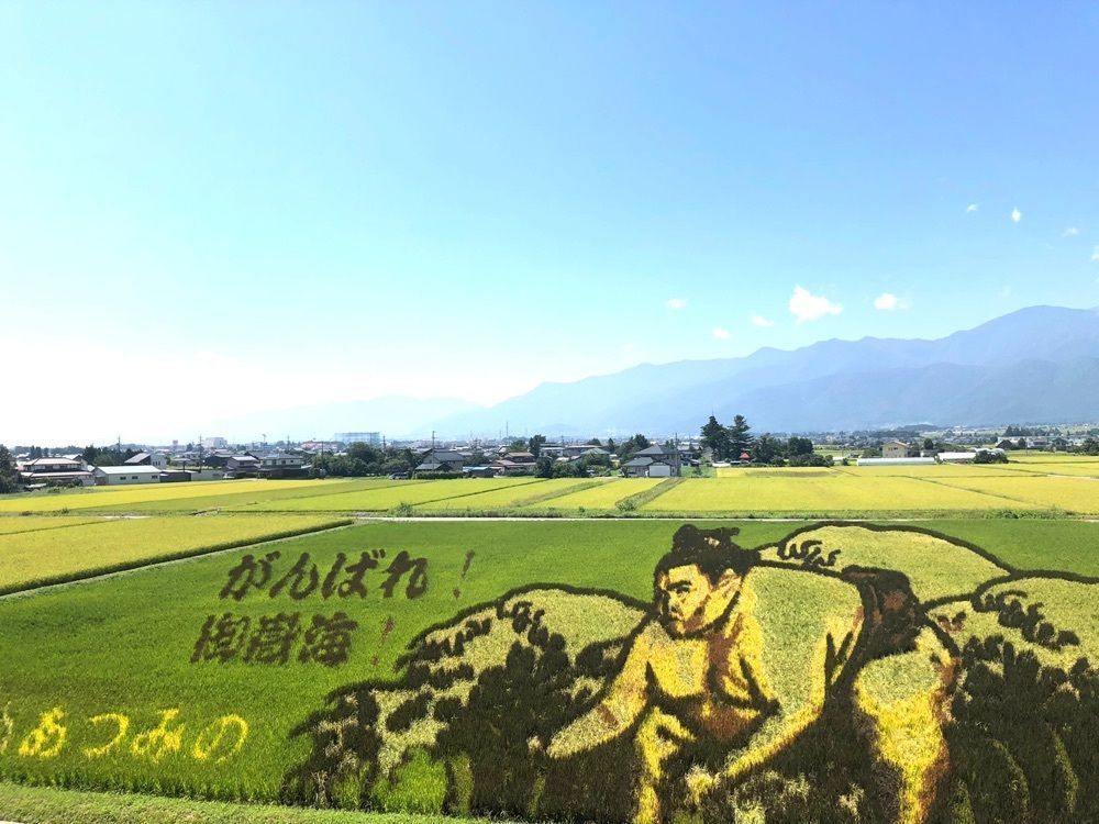 jun1216さんが投稿した安曇野スイス村に関する口コミの画像