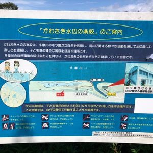 Living Cafe シャンティ(【旧店名】旅カフェ シャンティ) 4枚目