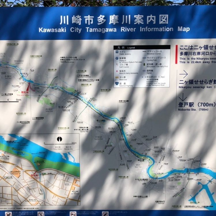 タッキーさんが投稿したLiving Cafe シャンティ（【旧店名】旅カフェ シャンティ）に関する口コミの画像